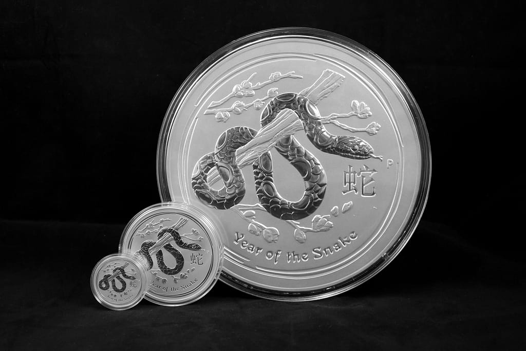 Home To The Rare 1 oz Snake Silver Mint Coin
