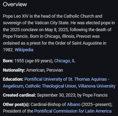 New Pope Leo XIV Online Overview 2025